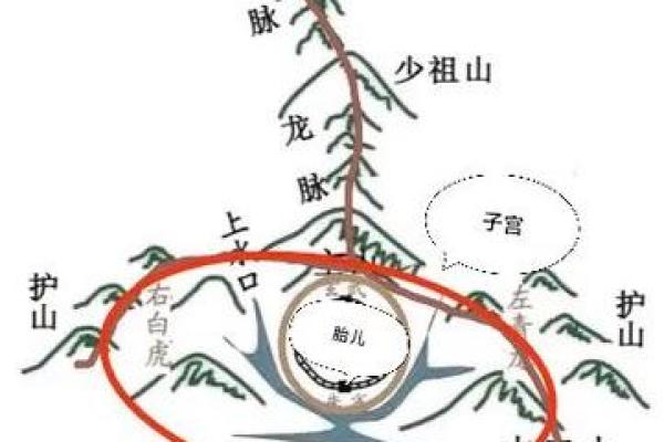 山的风水_每座山都有龙脉吗