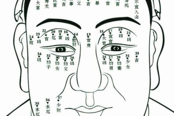 面相算命图解十二宫之：命宫