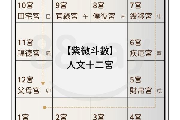 紫薇斗数权忌科