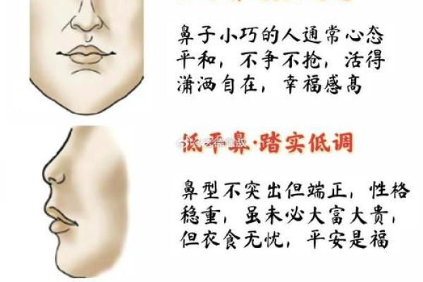济缘算命：解读鼻子对命运的影响