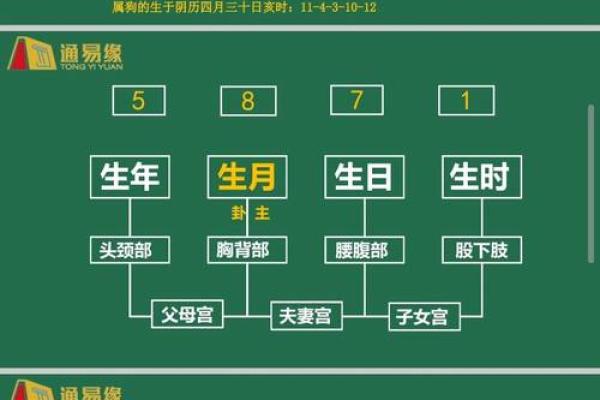 八字命理基础知识,八字必背知识全册