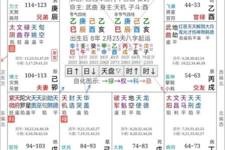 国学研究所紫微斗数记录 紫微星国学？