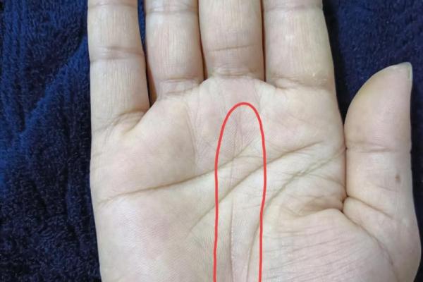 川字掌算命分析