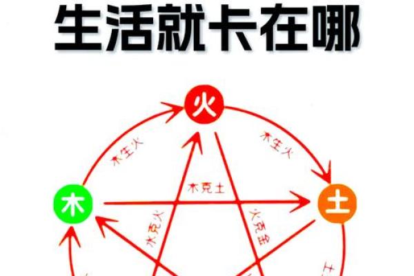 什么是八字金多呢