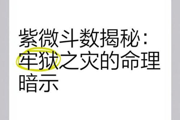 紫薇斗数精成在线阅读