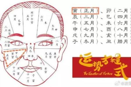 看头发面相知道运势 面相头发算命