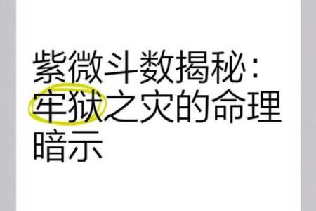 紫薇斗数精成在线阅读