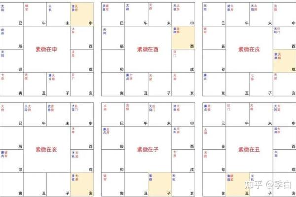 紫薇斗数好命盘