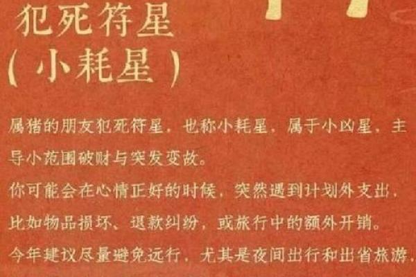 属猪算命,属猪人运程 属猪算命,属猪人运程