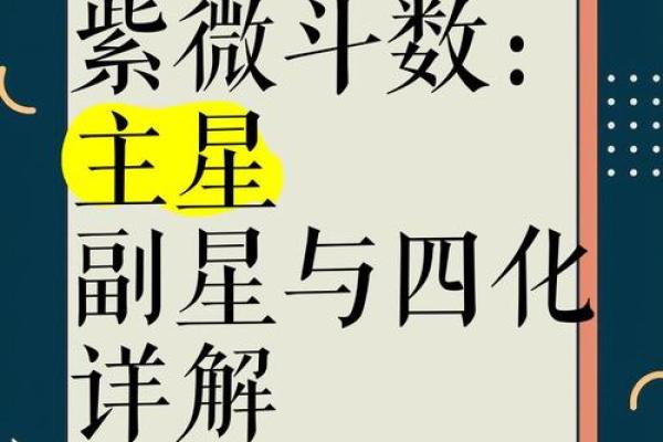 紫微斗数副曜 紫微斗数 副星？