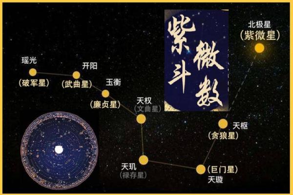 紫薇斗数14颗星代表什么 紫薇斗数14颗星代表什么