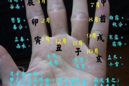 手指斗算命 手上有几个斗适合当老板