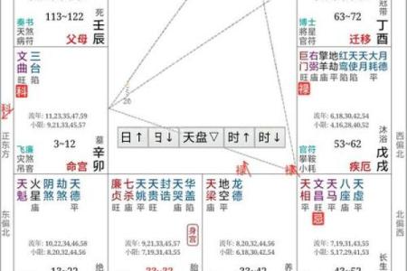 紫薇斗数详解软件