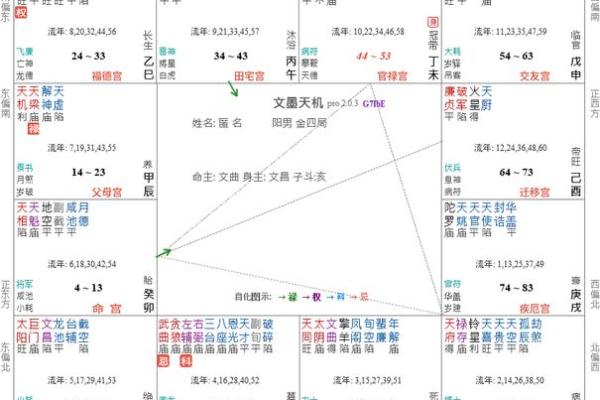 紫薇斗数大限大子女 紫薇斗数大限大子女