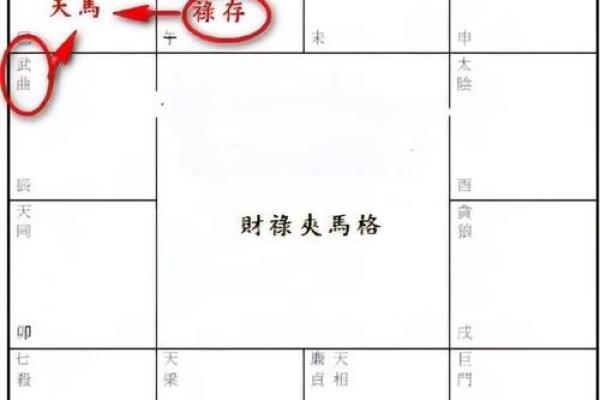 紫薇斗数财骑马 紫薇斗数财骑马