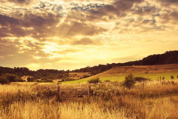 男龙女蛇八字合吗,蛇和龙在一起对谁不利 男龙女蛇八字合吗,蛇和龙在一起对谁不利