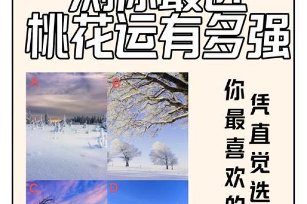 塔罗测试：四月你的桃花运？