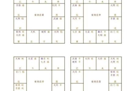 紫薇斗数子时怎么确定