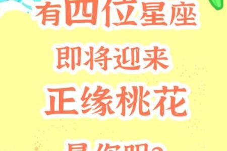 塔罗测试：四月你的桃花运？