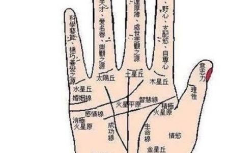 手相算命，从手相看你聪明度有多高？