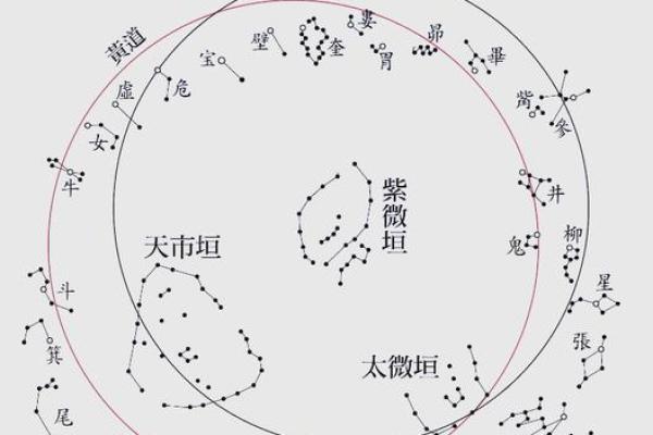 紫薇斗数历史最经典