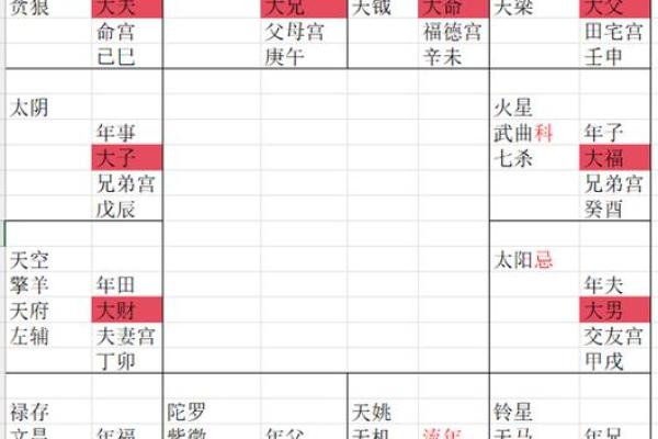 紫薇斗数大财禄
