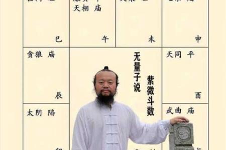 仲易紫薇斗数怎么样