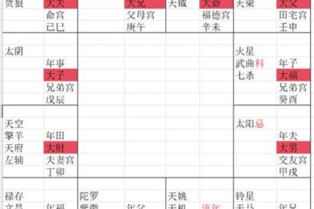 紫薇斗数大财禄