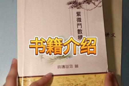 高级紫薇斗数书