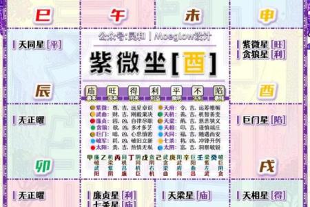 倪海厦紫薇斗数案例10