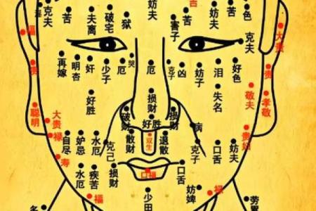 你的五官里，藏着你一生的风水