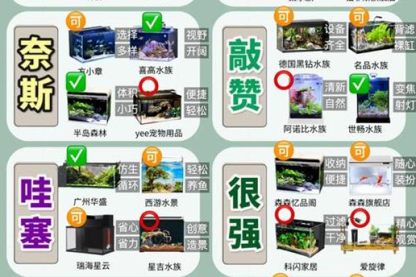鱼缸的风水_送人鱼缸有什么说法