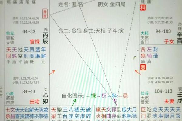 紫薇斗数解读，廉贞贪狼性格解读