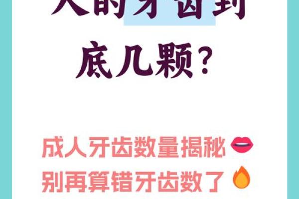 牙齿数量算命，牙齿算命图解
