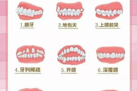牙齿数量算命，牙齿算命图解