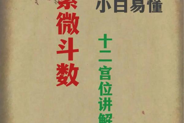 紫薇斗数庚宫 紫薇斗数庚宫
