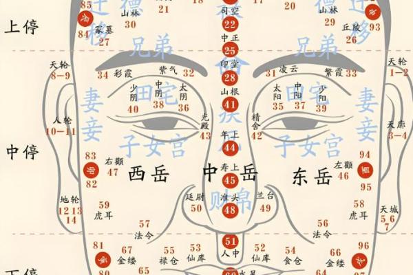 周易算命看面相 周易算命看面相