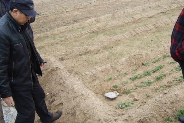 烟台福山算命哪里好 烟台福山算命哪里好