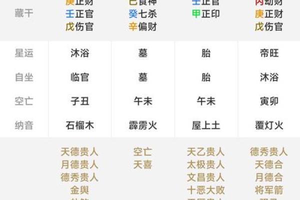 紫薇斗数命盘排盘软件