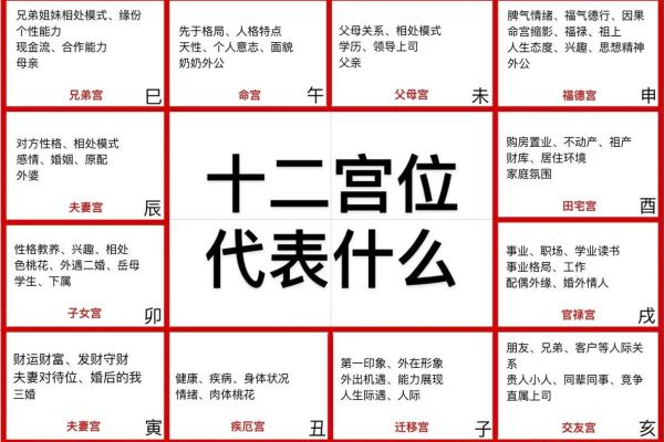 紫薇斗数癌症 紫薇斗数癌症