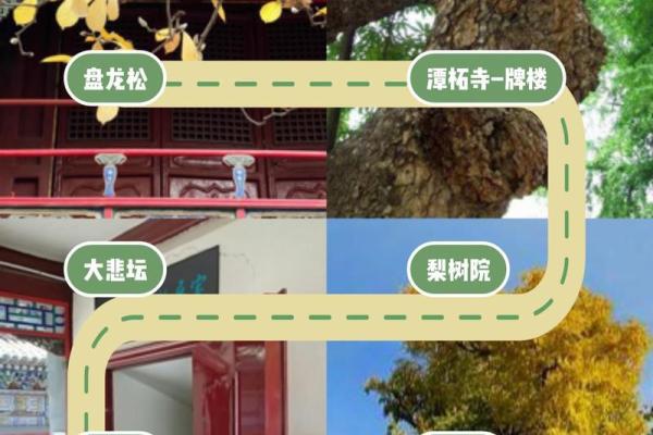 潭柘寺算命 潭柘寺算命