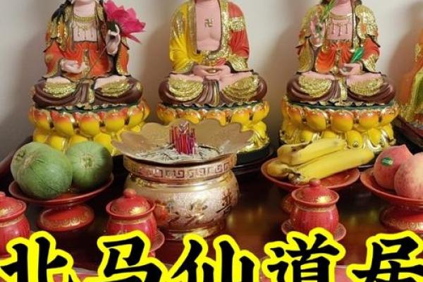 出马仙算命准吗 出马仙算命准吗