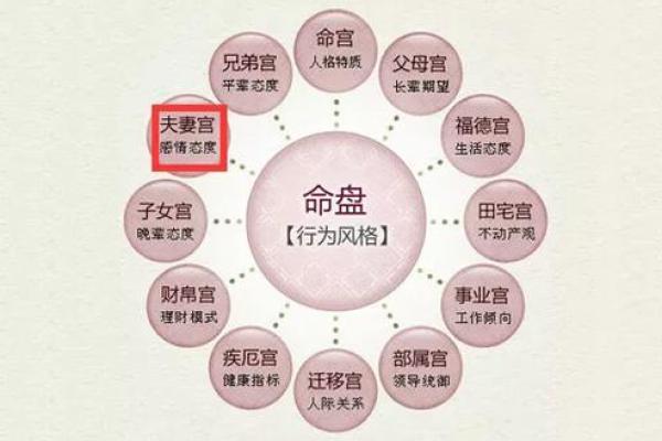 包含紫薇斗数精华论坛的词条