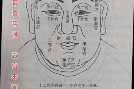 六害眉面相算命图解