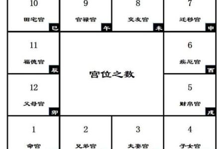 紫薇斗数分析推演概论