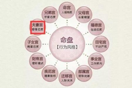 包含紫薇斗数精华论坛的词条