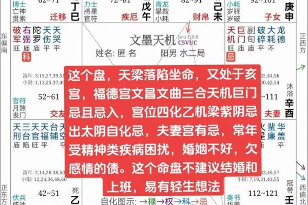 紫微斗数命盘解析：十二宫位
