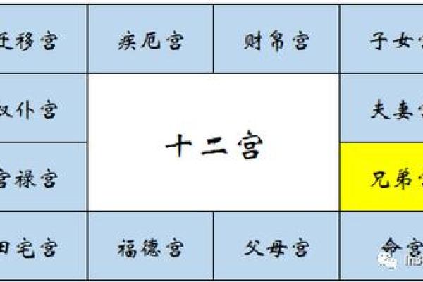 紫薇权贪狼在疾厄宫
