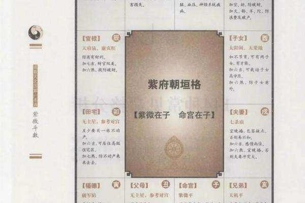 紫薇斗数算命合盘