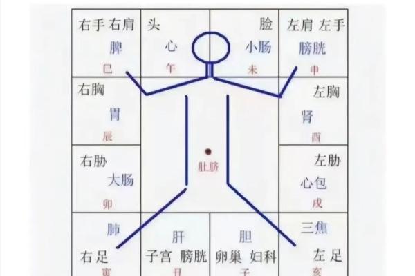 紫薇斗数原理